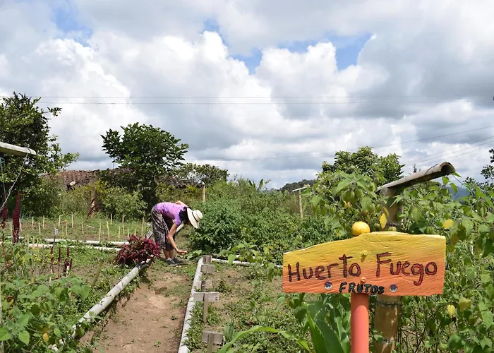 Tierra Activa Alojamiento Eco Rural Finca Organica Y Agroturistica