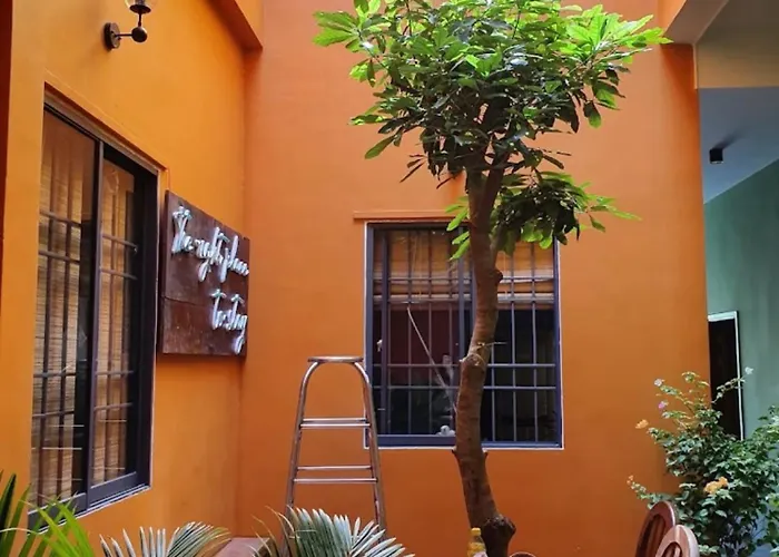 Chi Hieu Homestay