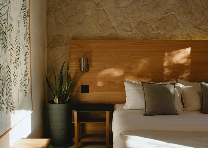 Casa Olivea