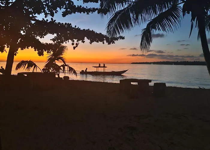 Twin Palms Villa And Homestay