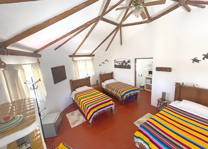 Palapas Ventana