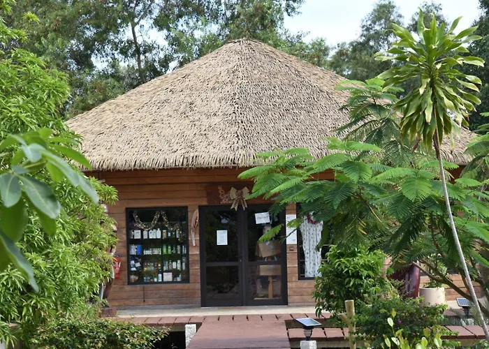 La Baie Des Tortues Luth