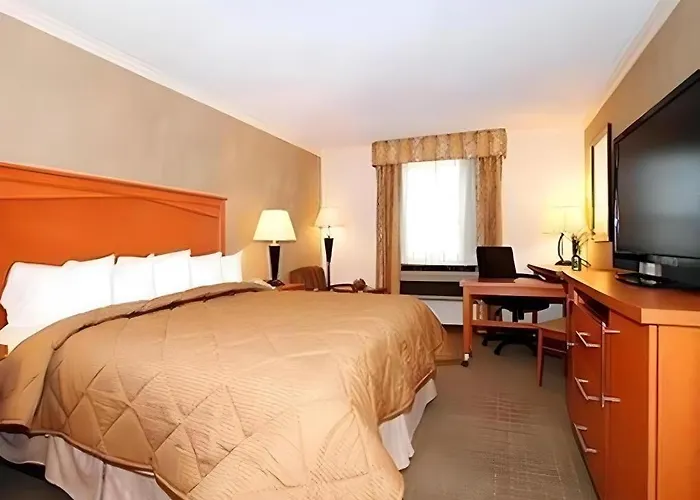 Best Western Davison Inn
