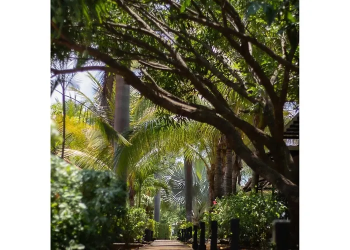 Drift Away Lodge Cr