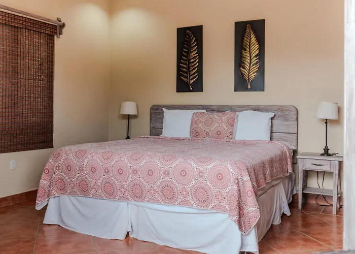 La Jolla De Guasacate - Digital Nomad Hotel