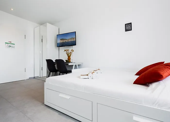 Campus Lugano 45 Wonderful Smart Suites In The University Area