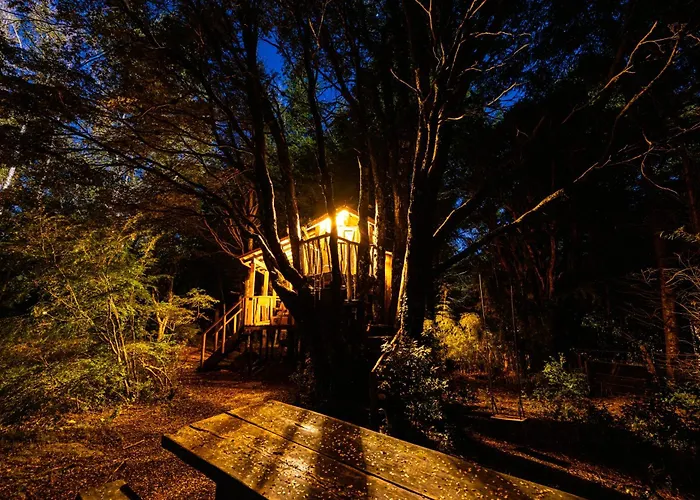 Pucon Volcano Forest Spa