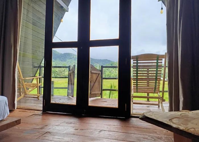 The Wilds Sinharaja