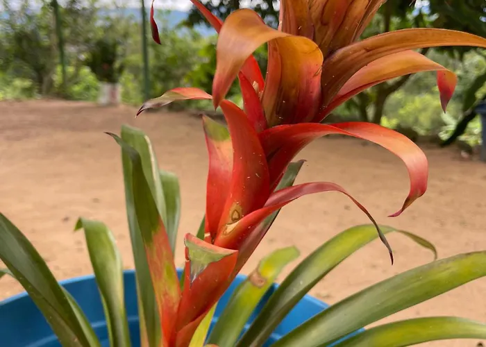 Centro Agroecoturistico Las Heliconias