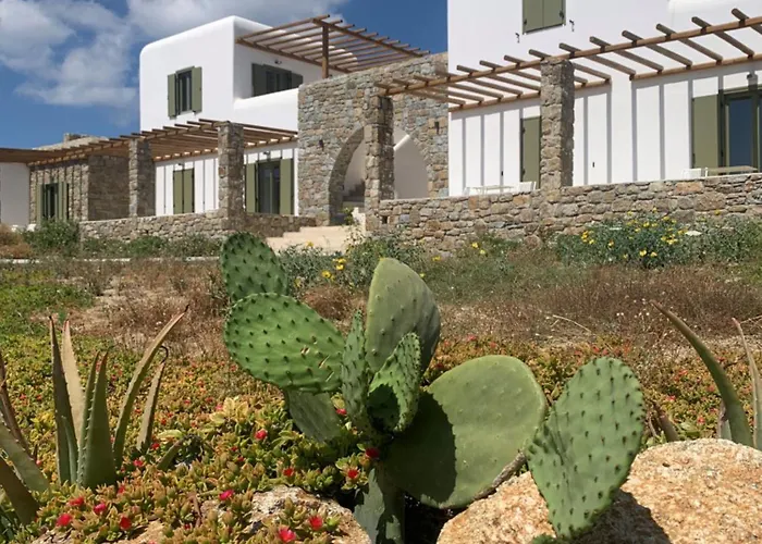 Alirene Mykonos