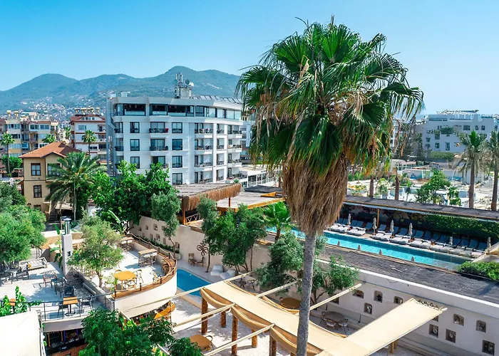 Demanor Hotel Adult Only