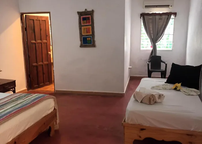 El jardín del coco