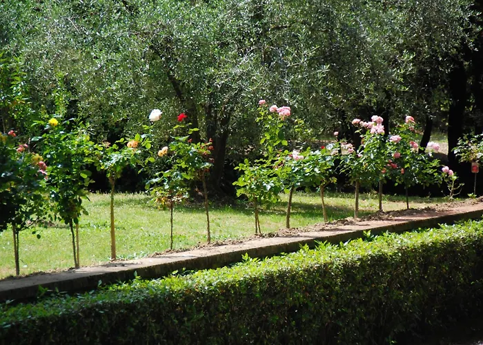 Hotel Gambassi