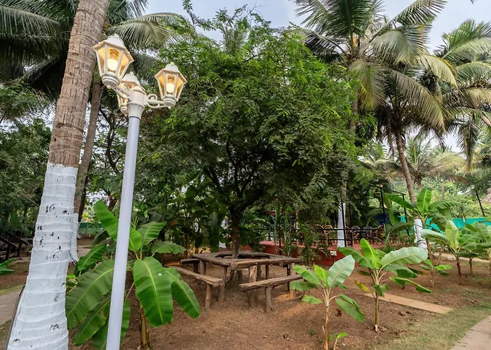 The Exotica Agonda