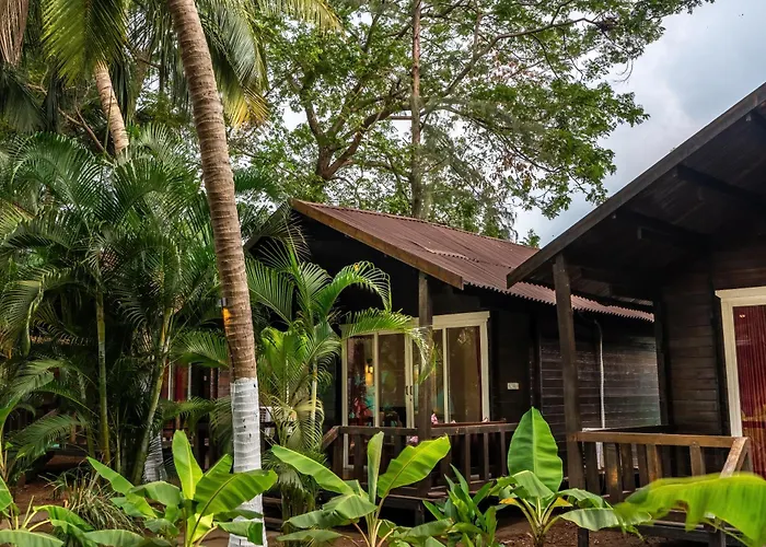 The Exotica Agonda