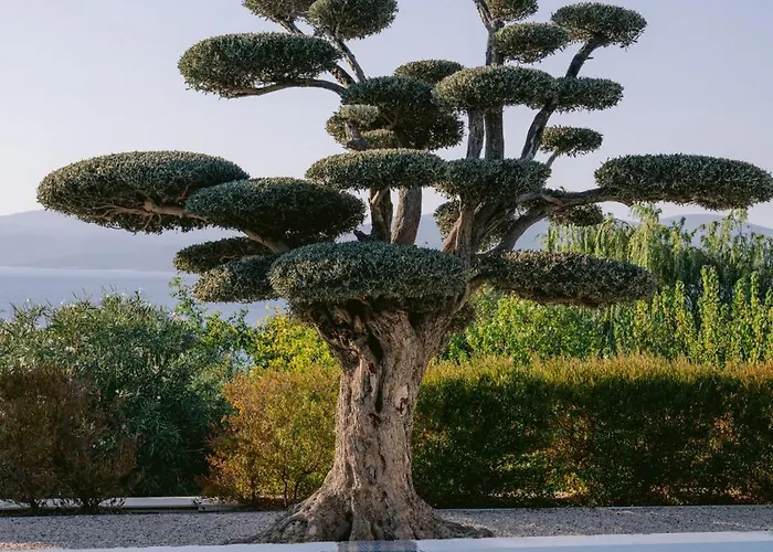 Hiddenbay Teos Hotel