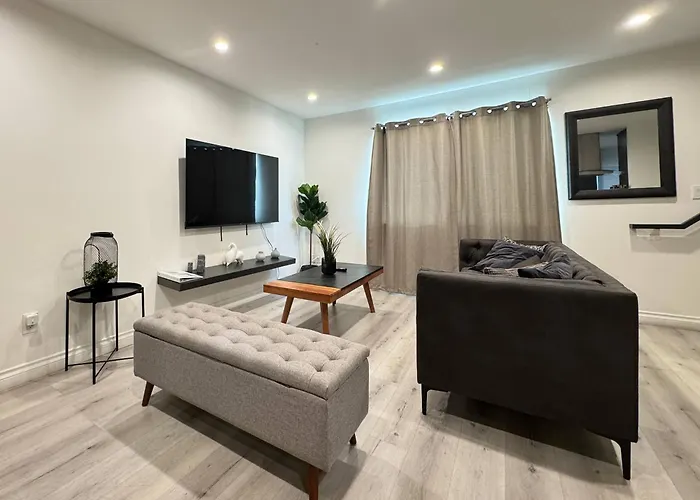 Hollywood Black Habitat