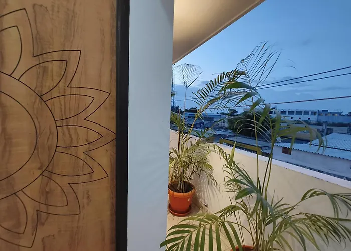 Rishi Residency