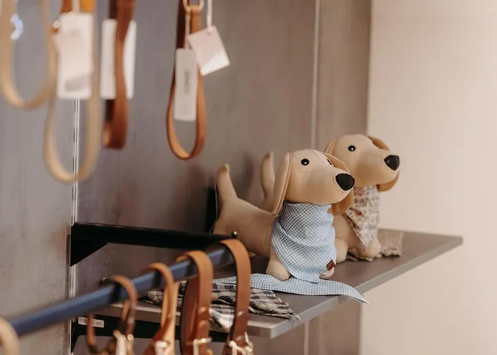 Boutique Hundehotel Bergzeit