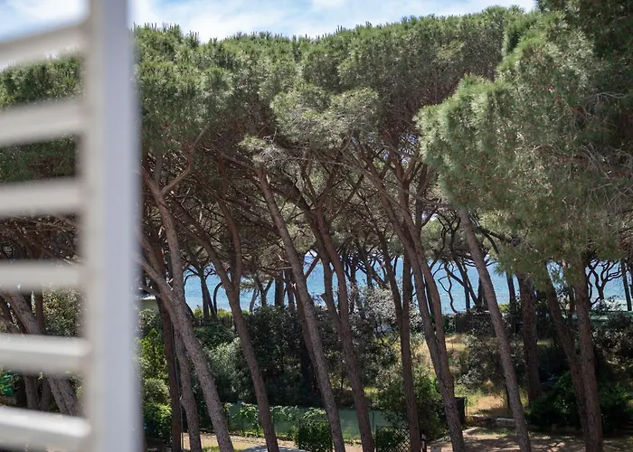 Hotel La Pineta