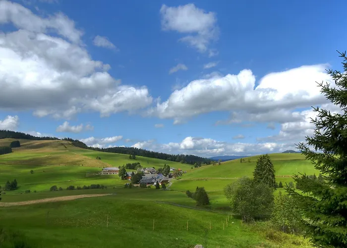 derWaldfrieden naturparkhotel