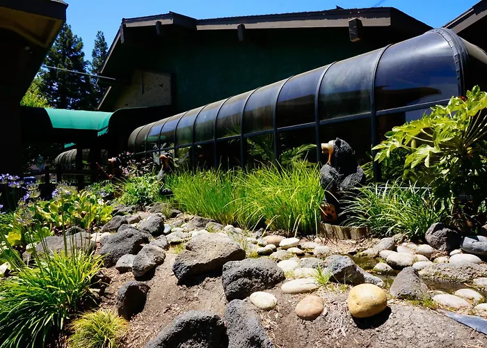 Best Western Plus Forest Park Inn