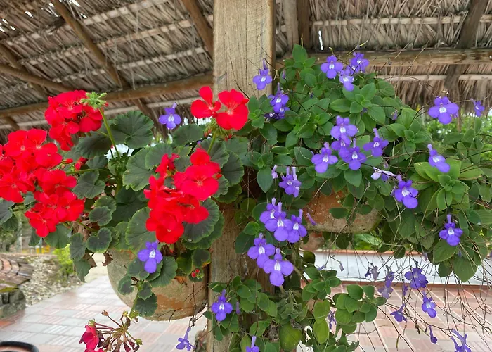 Hotel Hacienda El Diamante