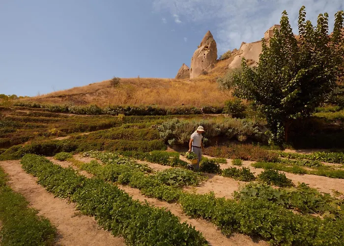 Argos In Cappadocia