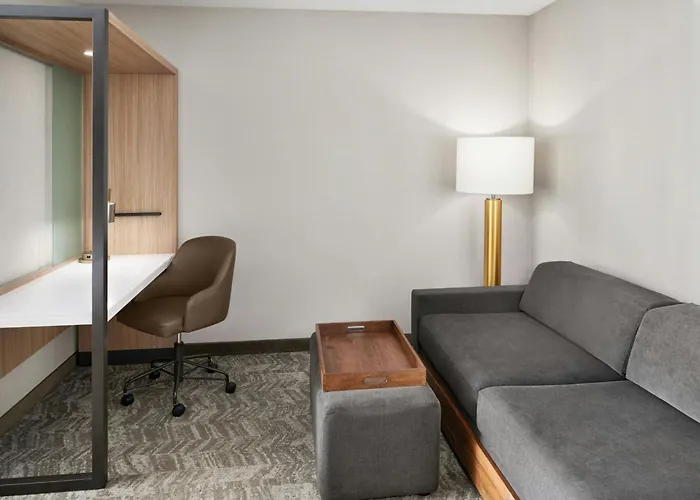 Springhill Suites By Marriott Lansing West