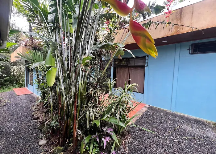 Hotel Rio Celeste To Know