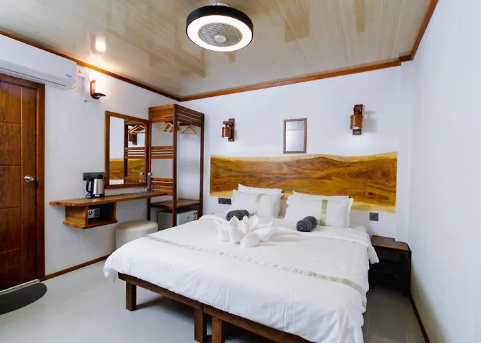 Velaavani - Turtle Hive Dhiffushi