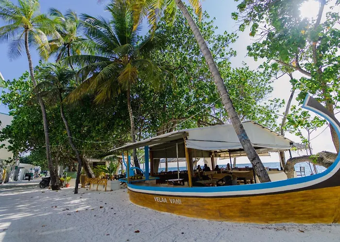 Velaavani - Turtle Hive Dhiffushi