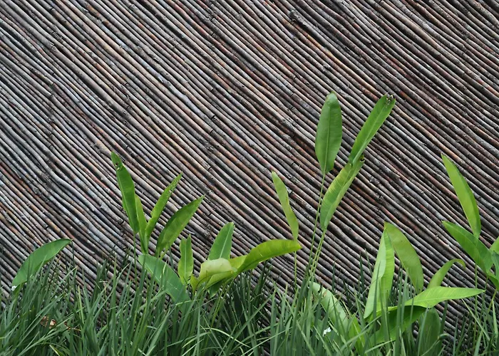 Origem Patacho Design Hotel