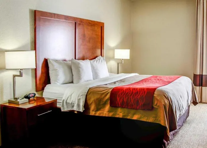 Comfort Inn Bessemer Birmingham South