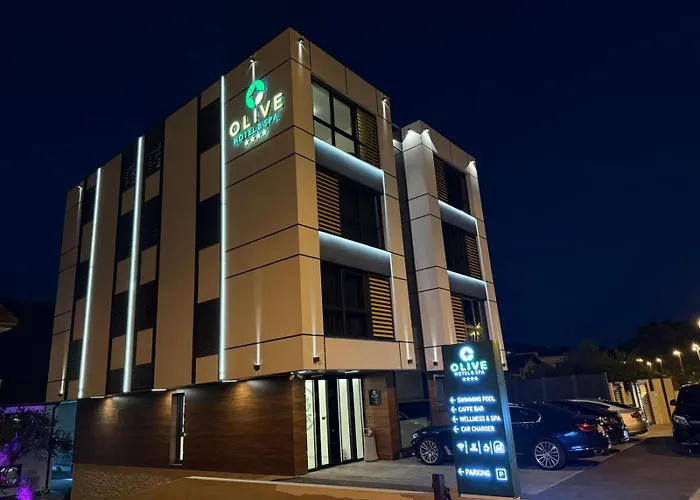 Hotel Spa Olive