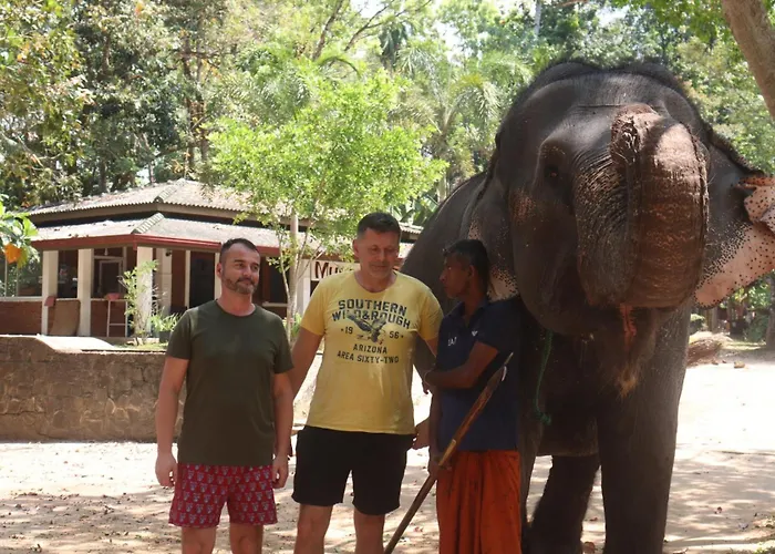 Elephant Vale