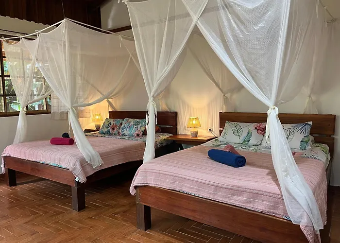 Hotel Pura Vida