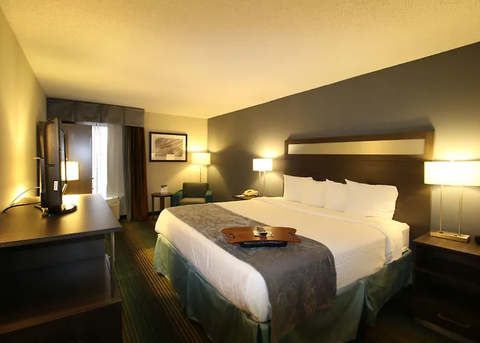 Best Western O'Hare/Elk Grove Hotel
