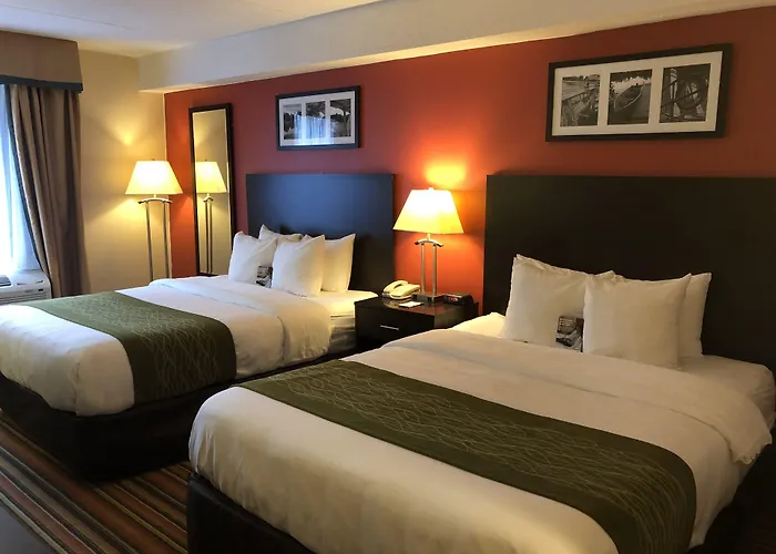 Comfort Hotel & Suites Peterborough