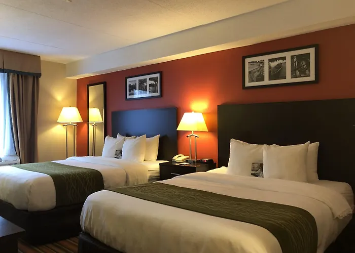 Comfort Hotel & Suites Peterborough