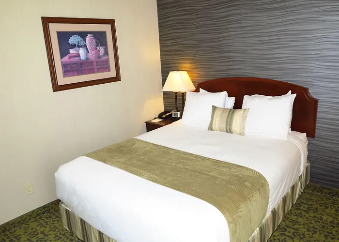 Salt Lake Plaza Hotel Surestay Collection By Best Western