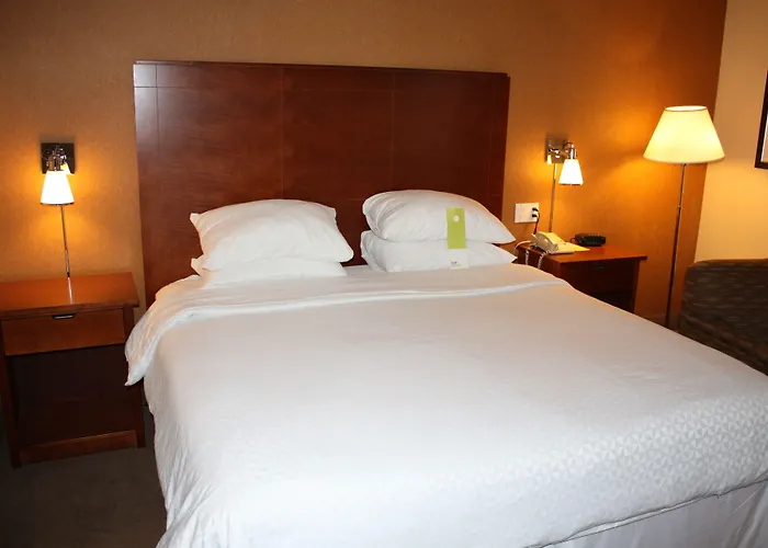 Four Points By Sheraton Chicago O'Hare