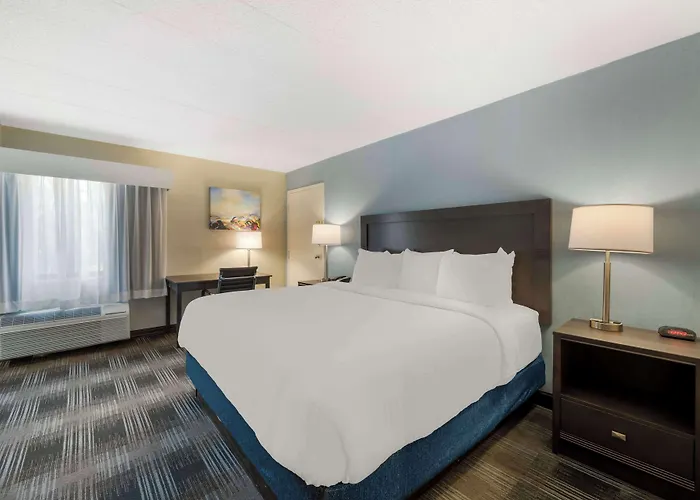 Best Western Plus Alexandria Fort Belvoir