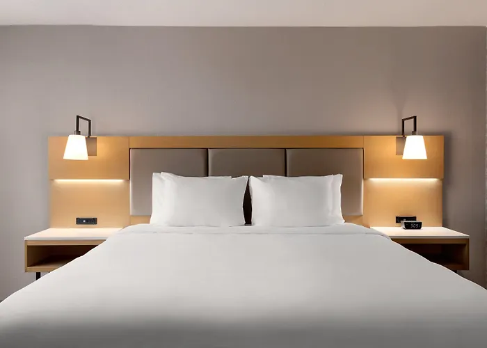 Holiday Inn Philadelphia Arpt-Stadium Area By Ihg