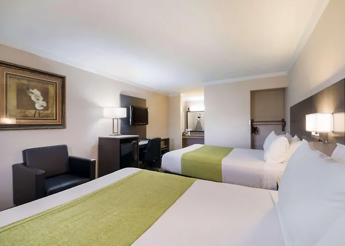 Surestay Hotel By Best Western Rockdale
