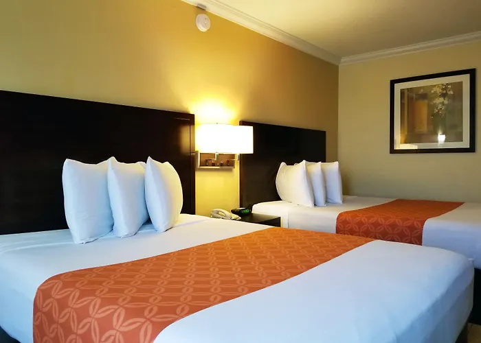 Galleria Palms Orlando - Free Theme Park Shuttles