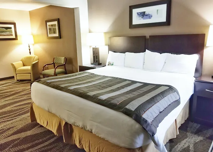 Wingate By Wyndham Raleigh Durham / Airport