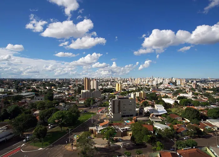 Bristol Exceler Campo Grande