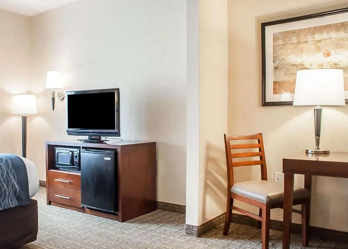 Comfort Inn&Suites Hamburg - Buffalo South
