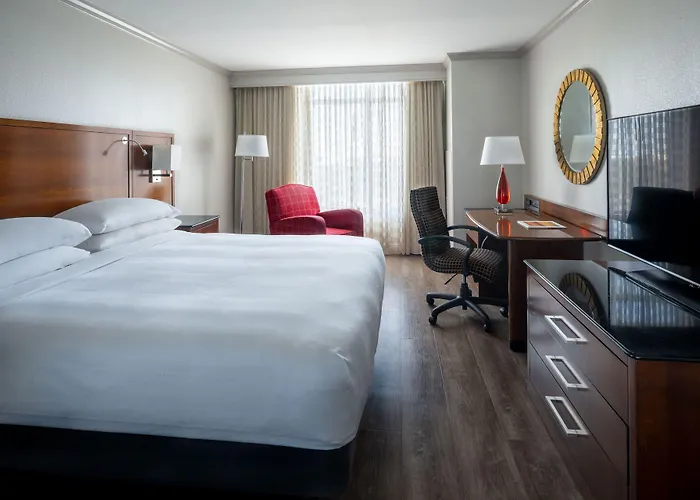 St. Petersburg Marriott Clearwater